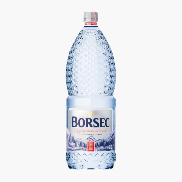 Borsec apa minerala naturala plata 2 L