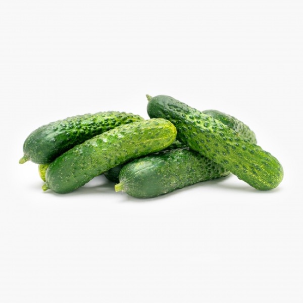 Castraveti cornichon Romania